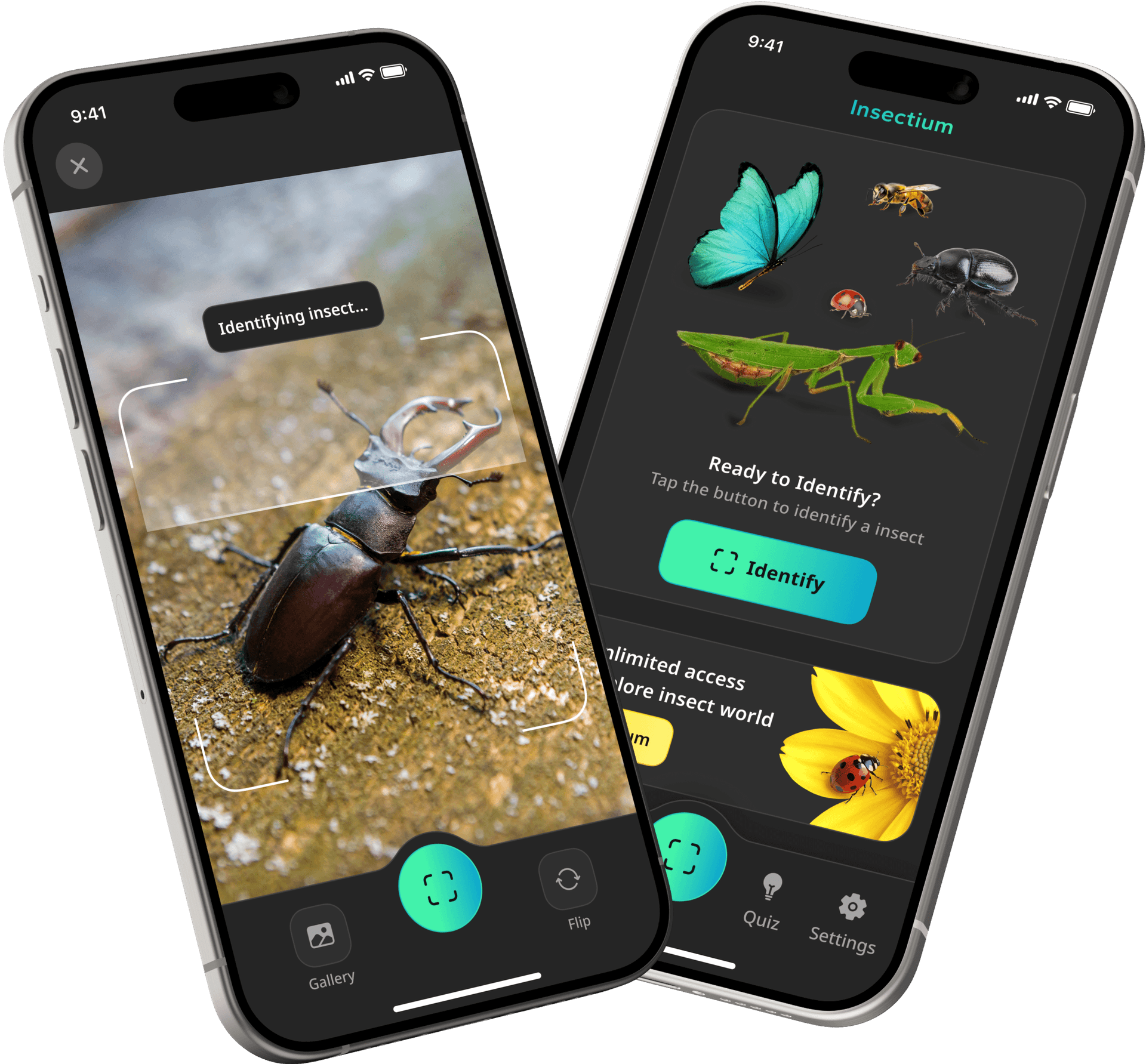 Preview of the insect identifier mobile app